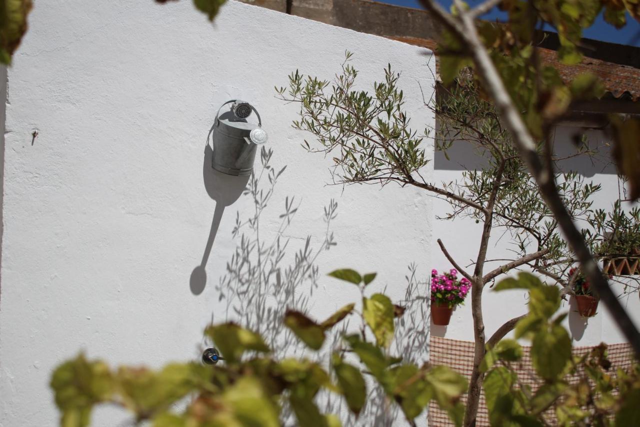 Appartement Casa Leonor Vejer à Vejer de la Frontera Extérieur photo